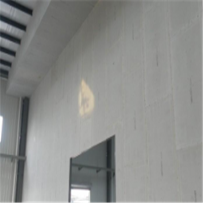 龙里宁波ALC板|EPS加气板隔墙与混凝土整浇联接的实验研讨